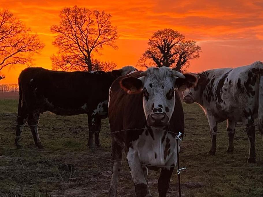 Gites Le Bisson Heussé Exteriör bild