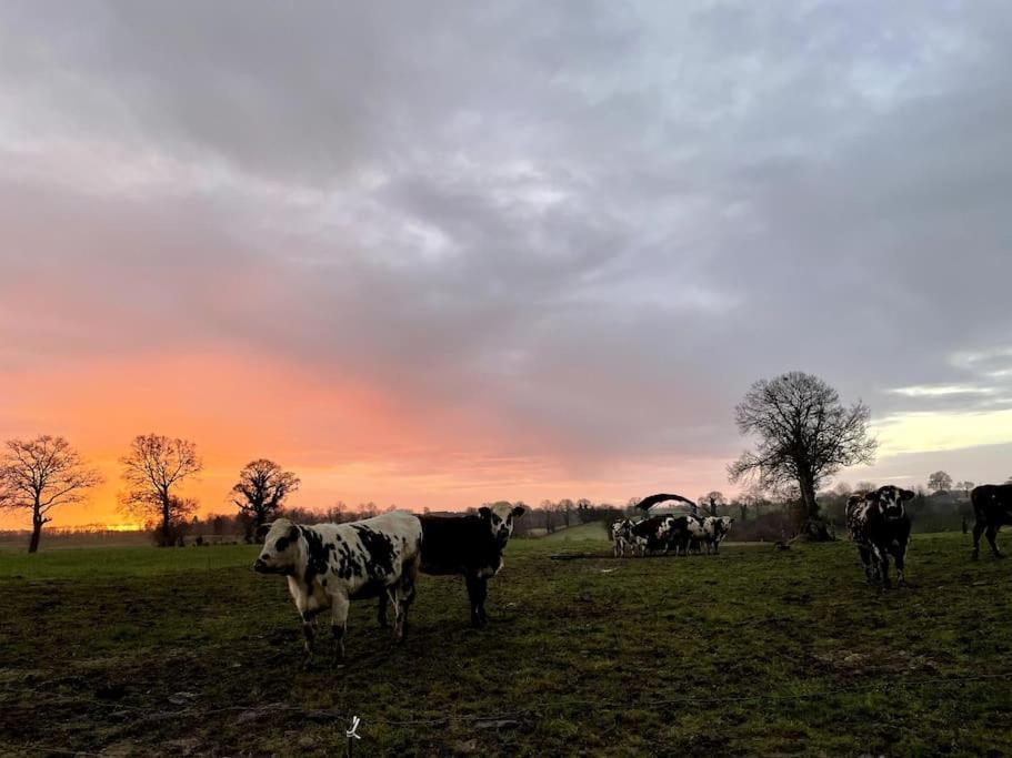 Gites Le Bisson Heussé Exteriör bild